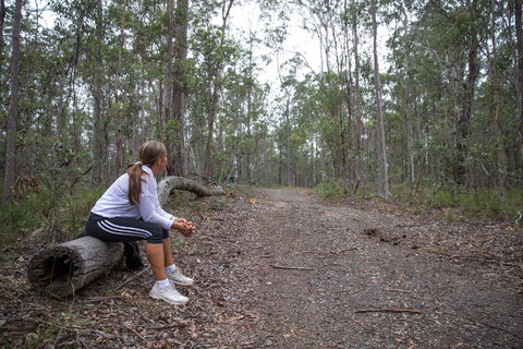 Ironbark Ridge And Spotted Gum Walking Trails - Nambucca Heads Accommodation 1