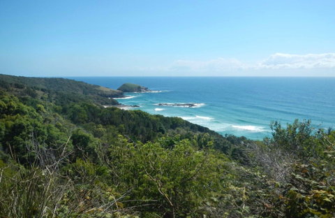 Jack Perkins Walking Track - Nambucca Heads Accommodation 0