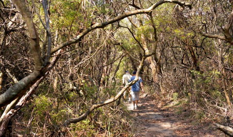 Lyrebird Dell Walking Track - Nambucca Heads Accommodation 0
