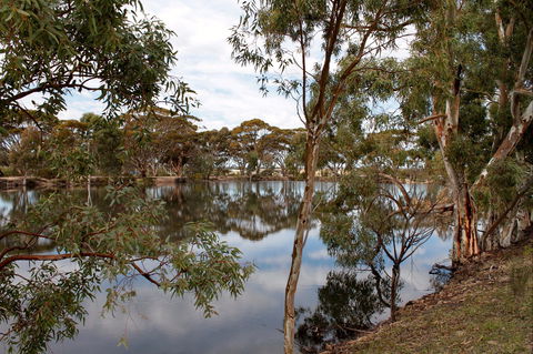 Merredin Railway Dam - Nambucca Heads Accommodation 0