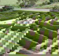 Mintaro Maze - Nambucca Heads Accommodation