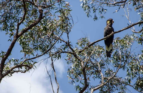 Mummel Gulf National Park - Nambucca Heads Accommodation 0