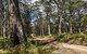 Mummel Gulf National Park - thumb 1