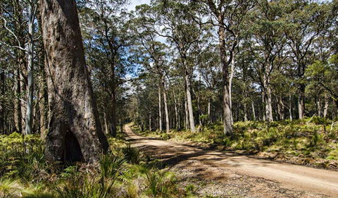 Mummel Gulf National Park - Nambucca Heads Accommodation 1