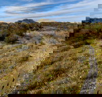 Murramarang Aboriginal Area Walking Track