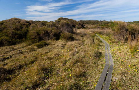 Murramarang Aboriginal Area Walking Track - Nambucca Heads Accommodation 0