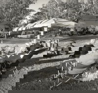 Pioneer Park - Nambucca Heads Accommodation