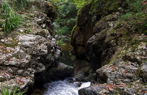 Potoroo Falls Walk - Nambucca Heads Accommodation 0