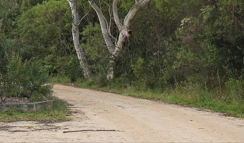 Riverview Walking Track - Nambucca Heads Accommodation 0