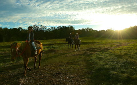 Scenic NSW Horse Riding Centre - Nambucca Heads Accommodation 0