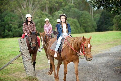 Scenic NSW Horse Riding Centre - Nambucca Heads Accommodation 2