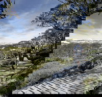 Snow Gums boardwalk - Nambucca Heads Accommodation