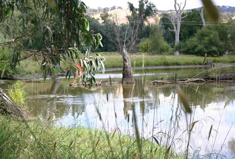 Tumut Wetlands - Nambucca Heads Accommodation 0