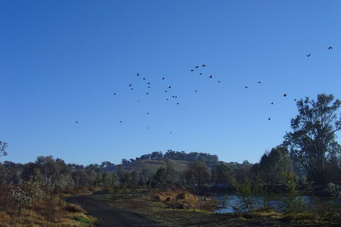 Tumut Wetlands - Nambucca Heads Accommodation 1