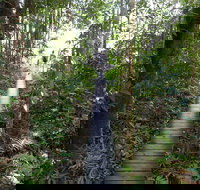 Walker Creek - Nambucca Heads Accommodation