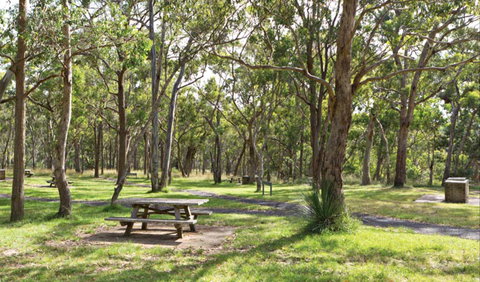 Wollomombi Gorge And Falls Picnic Area - Nambucca Heads Accommodation 0