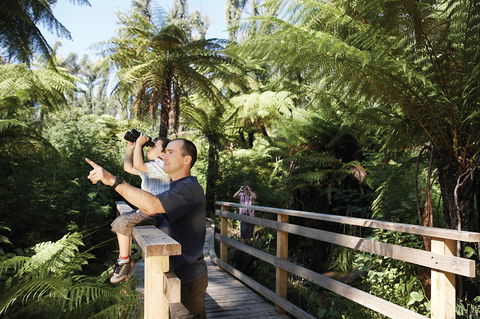 Yarra Ranges National Park - Nambucca Heads Accommodation 1