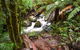 Yarra Ranges National Park - thumb 2