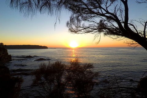 Batemans Bay Overnight Kayak Camping Tour - All Inclusive - Nambucca Heads Accommodation 1