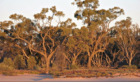 Yawura Yarun - Nambucca Heads Accommodation 0