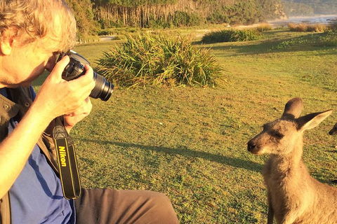 Highlights Of The Eurobodalla (half Day Private Tour) - Nambucca Heads Accommodation 2