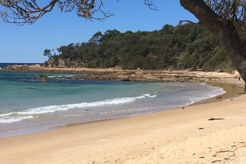 Highlights Of The Eurobodalla (half Day Private Tour) - Nambucca Heads Accommodation 5