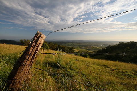 Private Full-Day Wine Tour In Hunter Valley - Nambucca Heads Accommodation 3