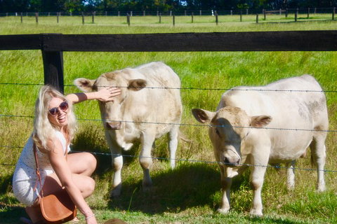 Hipster Sipster Brewery & Distillery Tour - Northern NSW - Nambucca Heads Accommodation 8