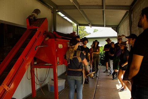 Pecan Farm Tour And Workshop, Byron Bay Hinterland - Nambucca Heads Accommodation 4