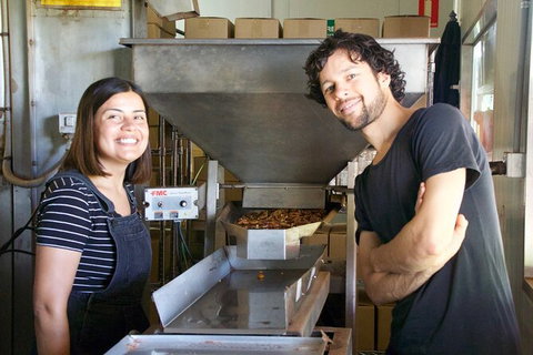 Pecan Farm Tour And Workshop, Byron Bay Hinterland - Nambucca Heads Accommodation 7