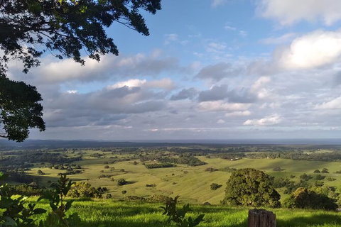 Pecan Farm Tour And Workshop, Byron Bay Hinterland - Nambucca Heads Accommodation 1