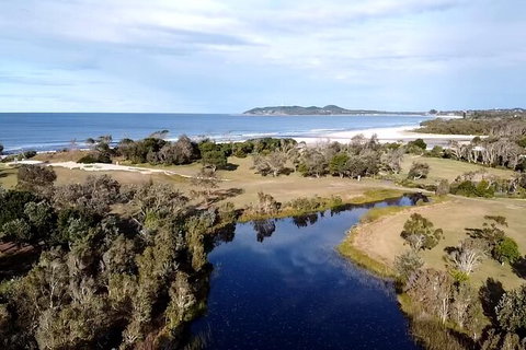 Coffee Farm Tour And Workshop, Byron Bay Hinterland - Nambucca Heads Accommodation 3