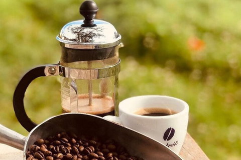 Coffee Farm Tour And Workshop, Byron Bay Hinterland - Nambucca Heads Accommodation 0