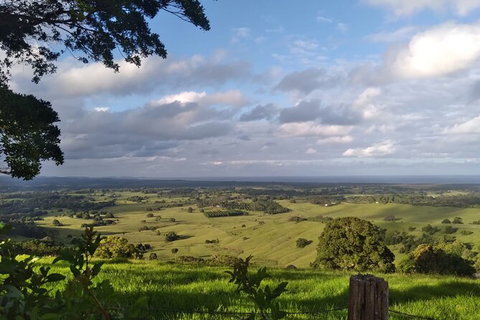 Coffee Farm Tour And Workshop, Byron Bay Hinterland - Nambucca Heads Accommodation 4