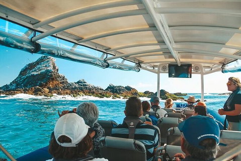Julian Rocks Byron Bay Cruise - Nambucca Heads Accommodation 13