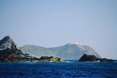Julian Rocks Byron Bay Cruise - Nambucca Heads Accommodation 2