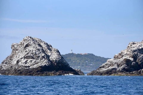 Julian Rocks Byron Bay Cruise - Nambucca Heads Accommodation 14