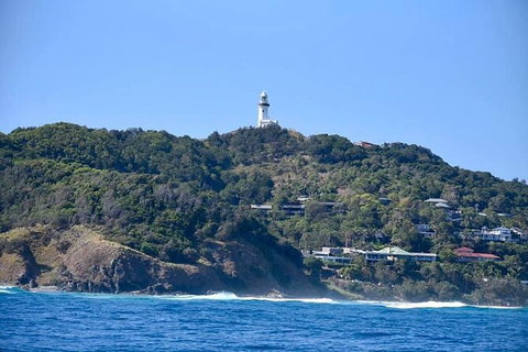 Julian Rocks Byron Bay Cruise - Nambucca Heads Accommodation 7