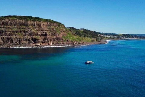 Julian Rocks Byron Bay Cruise - Nambucca Heads Accommodation 6