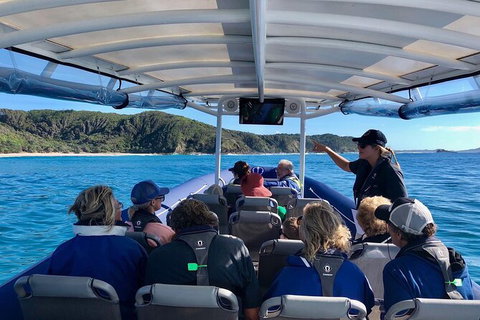 Julian Rocks Byron Bay Cruise - Nambucca Heads Accommodation 11