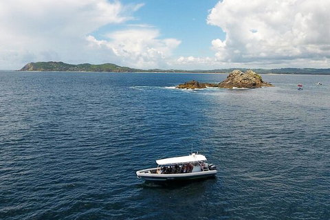Julian Rocks Byron Bay Cruise - Nambucca Heads Accommodation 0