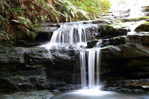 Private 10-hour Tour To Blue Mountains From Sydney - Hotel Pick Up & Drop Off - Nambucca Heads Accommodation 6