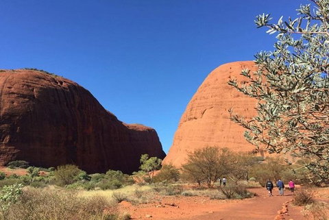 5-Hour Kata Tjuta Sunrise Tour From Ayers Rock With Breakfast - Nambucca Heads Accommodation 2