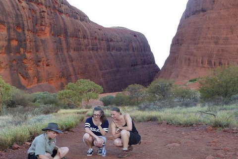 5-Hour Kata Tjuta Sunrise Tour From Ayers Rock With Breakfast - Nambucca Heads Accommodation 3