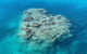 Lady Musgrave Day Trip From Bundaberg Including Snorkeling, Glass Bottom Tour And Guided Island Walk - thumb 2