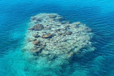 Lady Musgrave Day Trip From Bundaberg Including Snorkeling, Glass Bottom Tour And Guided Island Walk - Nambucca Heads Accommodation 2