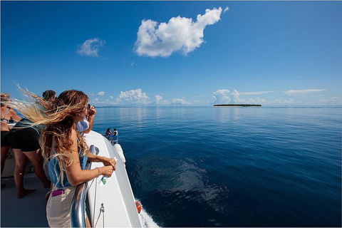 Lady Musgrave Day Trip From Bundaberg Including Snorkeling, Glass Bottom Tour And Guided Island Walk - Nambucca Heads Accommodation 4