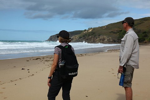 Tropical Beach Adventure - Private 4X4 Day Tour With Pickup - Nambucca Heads Accommodation 0