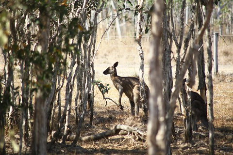 Tropical Beach Adventure - Private 4X4 Day Tour With Pickup - Nambucca Heads Accommodation 6