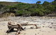 Tropical Beach Adventure - Private 4X4 Day Tour With Pickup - thumb 5